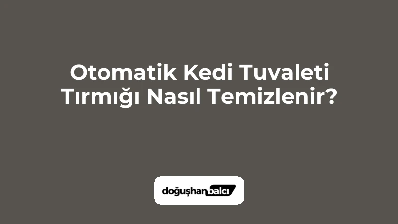 Otomatik Kedi Tuvaleti Tırmığı Nasıl Temizlenir?